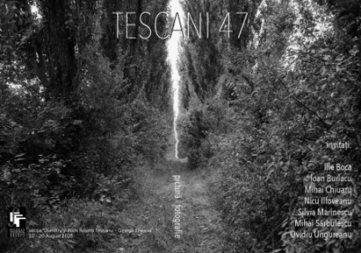 TESCANI 47